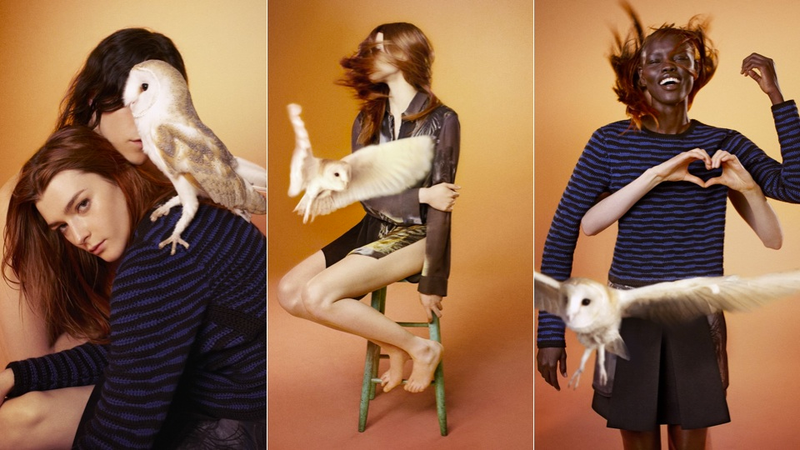 Illustration for article titled 'Real People' Star in Lanvin's Fall Ads